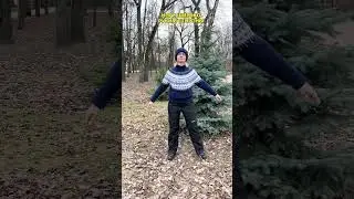 40-ДНЕВНЫЙ МАРАФОН. ДЕНЬ 16. Внутренние органы 