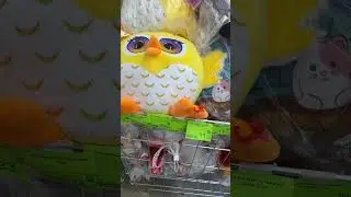 ТРИ ЦЕНЫ Беларусь💰🌹