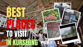 Best Places to Visit in Kurseong | কার্সিয়ং-এর সেরা দর্শনীয় স্থানগুলি | #kurseong #viewpoints 