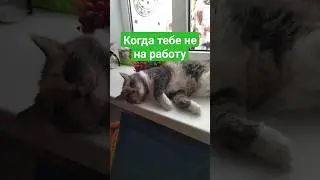 Когда всем на работу, а тебе - нет!