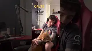 🥰 МАРТИ ЛИПНЕТ К ЭДИСОНУ - СТОРИС ЭДИСОН МАЙНКРАФТ @EdisonPts #edison #edisonpts #эдисон