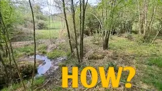This is what im talking about #Deforestation #tree #woods
