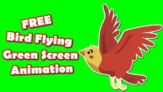 Flying bird green screen Animation No copy rights