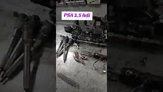 как отличить постель 7мм от 8мм на 1.5hdi