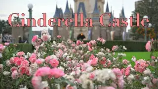 【Cinderella castle 】Disney cinematic video