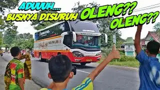 Tak Dapat Truck Oleng, Telolet Bus pun Jadi!! Spesial Golek Bus Telolet diKediri (Bis disuruh Oleng)