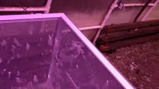 Перосушилка.