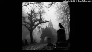 darkspin x supertrap x ambient type beat 