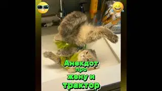 Анекдот про жену и трактор. 