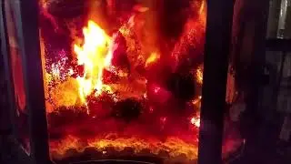 Семь видов жизненных опасностей. 3. Внешняя агрессия