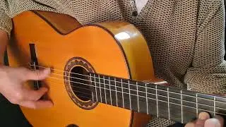 ALZAPUA 1