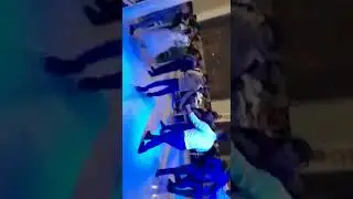 Лоик и Диловар
