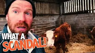 The Farm Scandal | Short Stuff | BBC Scotland Comedy