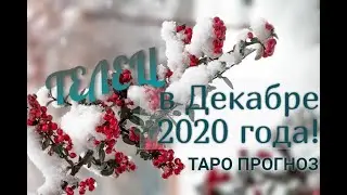ТЕЛЕЦ! ТАРО ПРОГНОЗ НА ДЕКАБРЬ 2020 ГОДА!