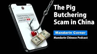 The Pig Butchering Scam in China - Mandarin Chinese Podcast - Upper Intermediate & Advanced Chinese