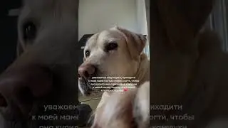 Обучение маникюру с нуля. Сколько зарабывает мастер маникюра