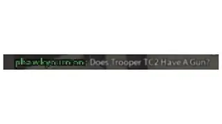 does Trooper TC2 have a gun?