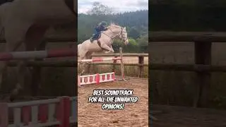 For all the unwanted opinions out there! #horse #pony  #equestrian #horseriding #showjumping