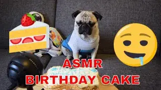 ASMR | Birthday Cake