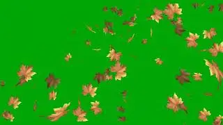 AUTUMN LEAVES FALLING FREE to USE GREEN SCREEN(2)