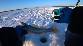 Спирино - Кирза.   Судак и свежий воздух!