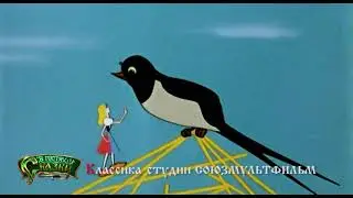 Телеканал 