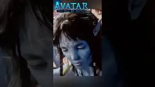 Аватар 2 не такая как все