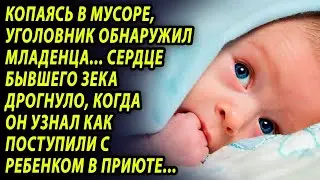 Копаясь в мусоре, мужчина обнаружил шевелящийся сверток  Рассмотрев ближе, он схватился за сердце