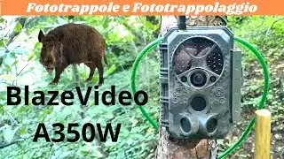 Camera trap BlazeVideo A350W let's see how the App works.