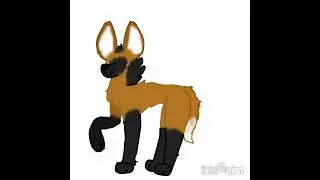 But my legs were to long/ manes wolf oc!