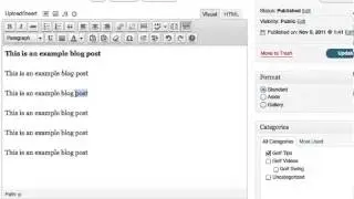 WordPress Tutorial ~ How To Format a Blog Post