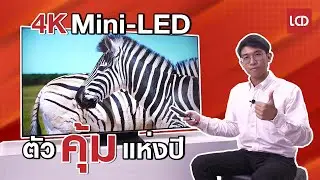 รีวิว TCL C755 65