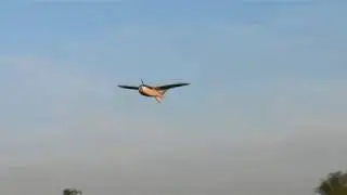 Nano Talon Crash#3 with spin in the end