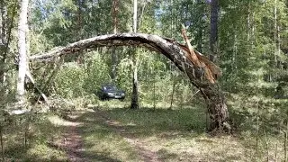 Металлокоп а часть 1 Сергей Евстафьев