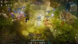Black Desert осада 15.11.15 часть 7
