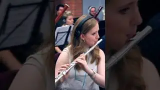Tarantula 🕷️… But make it classical 🎻🪈🎺Credit: ⁠