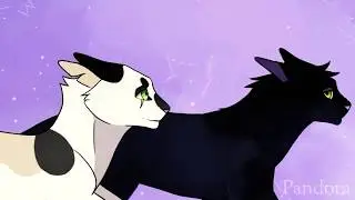 |Коты Воители Клип|🐾