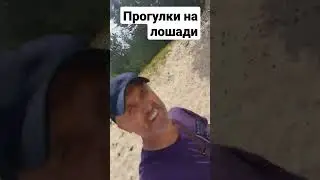 Прогулка на лошади