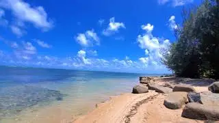 Caminata relajante por la costa
