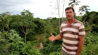 Carbiocial - Carbon sequestration, biodiversity and social structures in Southern Amazonia