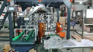 Multi function Box & Bag Packing System-Focus Machinery