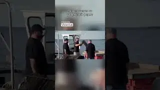 Как правильно чистить устрицы: пошаговое руководство