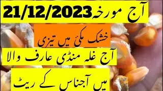 Maki rate |Maize rate |paddy rice rate today|galla mandi Arifwala Punjab Mandi |Punjab Pakistan🇵🇰