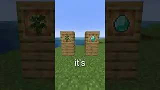 What Is The Void In Minecraft?