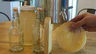 The Easiest Way to Make Kombucha at Home