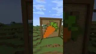 Day 4 of Building a Carrot Farm, 8 Carrots