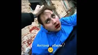 жалко Антона
