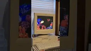 IBM PC 340: Windows 98 Underwater Screen Saver 