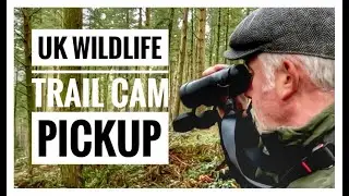 UK Wildlife Photography - TrailCam Pickup
