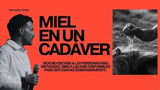 MIEL EN UN CADÁVER | @BenjaminParra